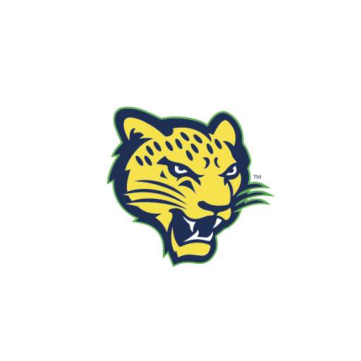 UNT Dallas Mobile 2023.07.1700 (build 11419)