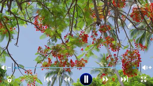 LP Player - плеер LP screenshot 3
