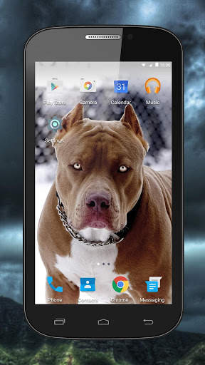 Fighting Dogs Live Wallpaper screenshot 2