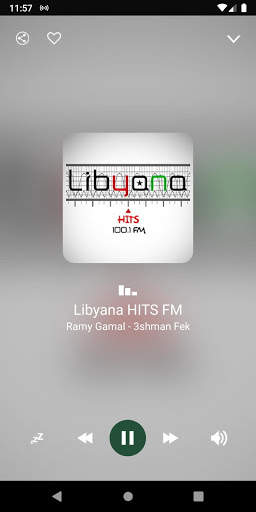 Libya Radio Stations скриншот 3