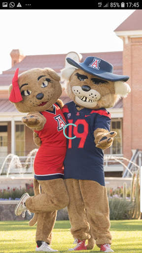 Bear Down Network screenshot 3