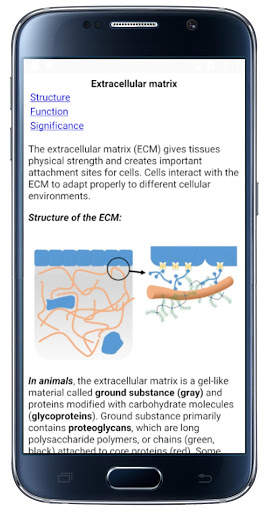 Cell Biology-101 скриншот 2