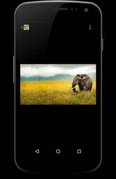 Nature Images screenshot 5