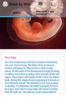 Pregnancy Stages screenshot 2
