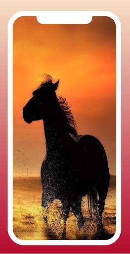 Horse Wallpaper 4K screenshot 6