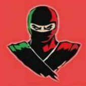 NSE Ninja icon