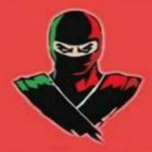 NSE Ninja 2.0