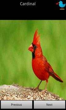 Bird Sounds for Kids screenshot 2