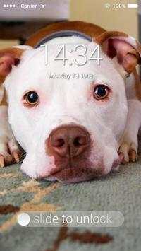 Fancy Screen Lock Dog Face screenshot 1