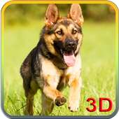 German Shepherd Dog 3D Free on 9Apps