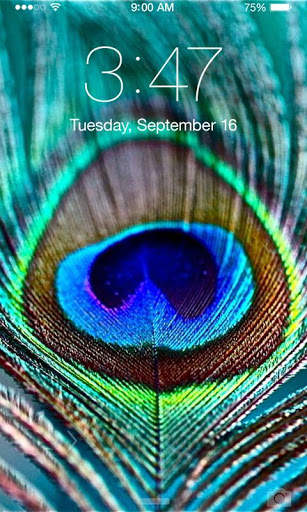 Peacock Wallpaper screenshot 1