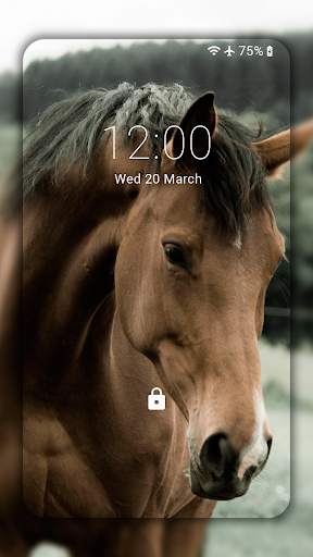 Horse Wallpaper HD: Themes screenshot 1