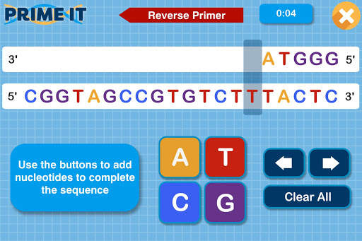 Prime It DNA Game screenshot 12