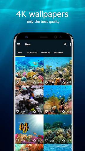 Fish Wallpapers PRO screenshot 1