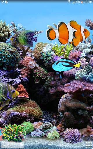 Coral Fish 3D Live Wallpaper screenshot 6