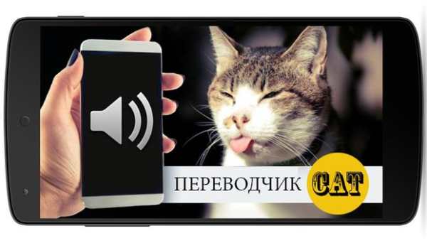 Кошачий переводчик скриншот 1