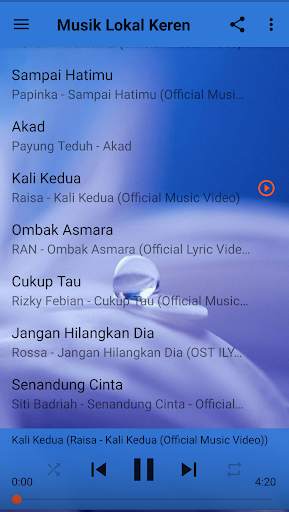 Musik Lokal Keren screenshot 5