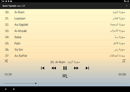Huthaify Quran mp3 offline screenshot 9