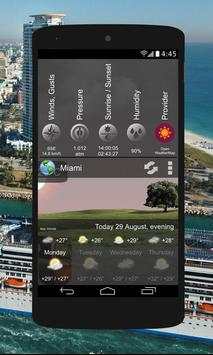 Animated Weather Widget, Clock screenshot 7
