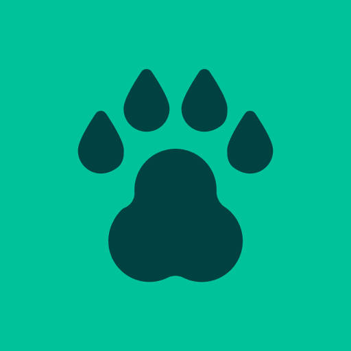 Mowgli - Flight deals 2.9.2