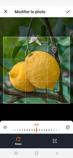 Planificador de jardines screenshot 7