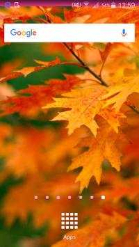 Fall Wallpaper screenshot 1