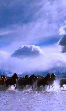 Horses live wallpaper screenshot 2