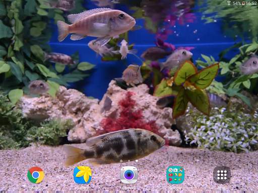 Aquarium 4K Live Wallpaper screenshot 9