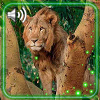 Lion King Jungle logo