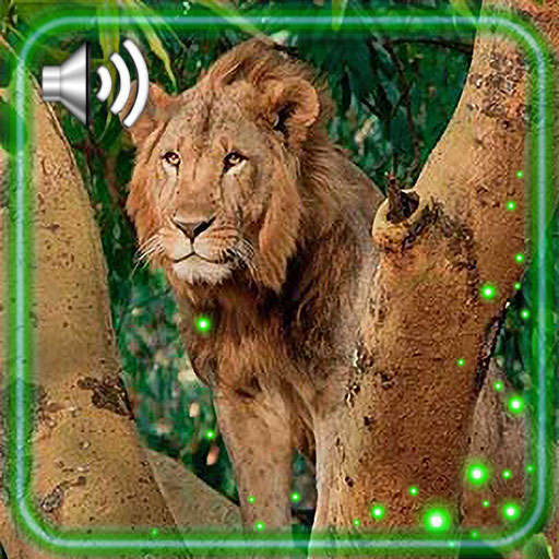 Lion King Jungle 1.2