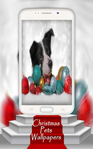 Christmas Pets Wallpapers screenshot 1