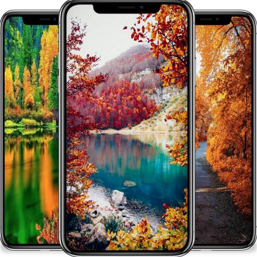 Autumn Wallpaper & Background 1.0
