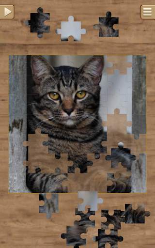 Cat Jigsaw Puzzles screenshot 4