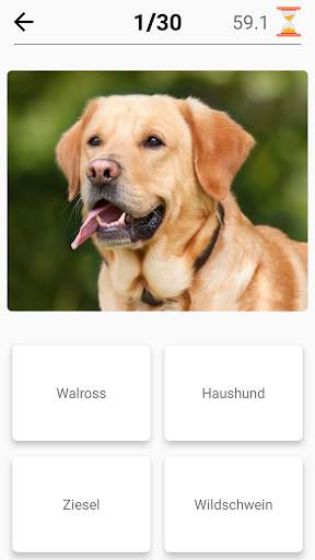 Säugetiere - Lernen Sie alle Tiere im Foto-Quiz! screenshot 7