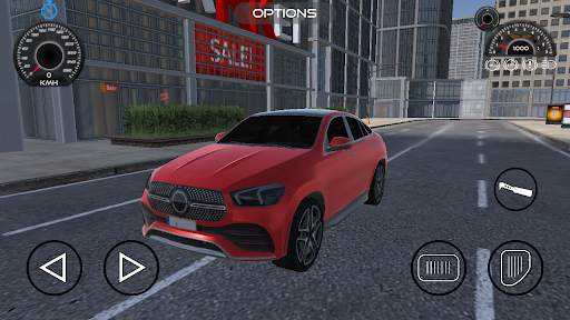 Realistic Cars Driving screenshot 1