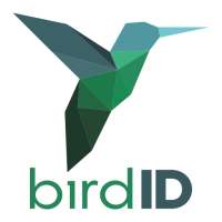 Bird ID