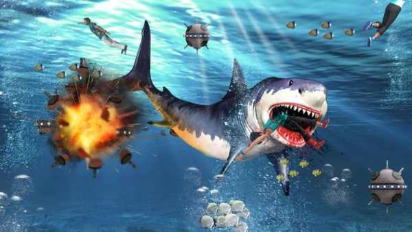 Shark Attack Adventure screenshot 1