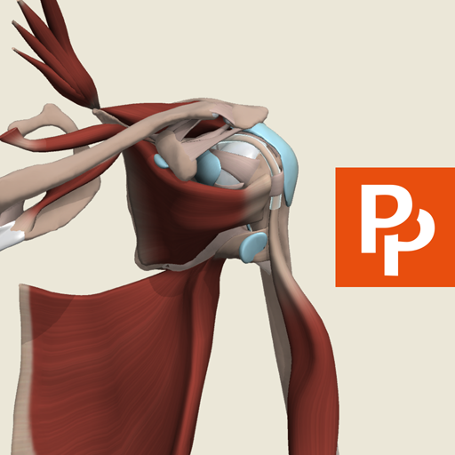 Shoulder and Arm: 3D RT - Sub icon
