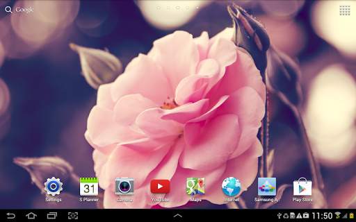 Rose Live Wallpaper screenshot 10
