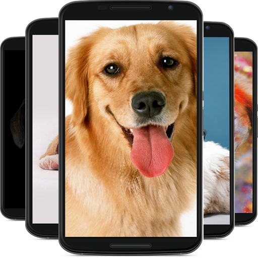dog wallpaper icon