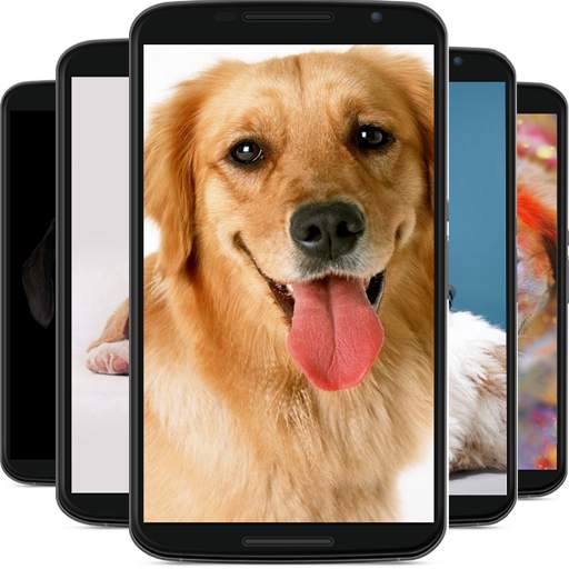 dog wallpaper 1.3
