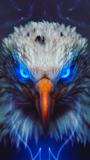 🦅 Eagle Wallpapers – Bird Wallpaper screenshot 2