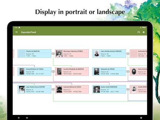 Family Tree Explorer Viewer – for the PC software screenshot 10