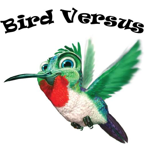 Bird Simulator 1.0