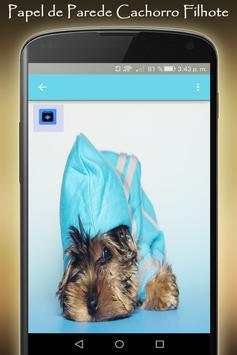 papel de parede cachorro filhote: Imagens de Cães screenshot 6