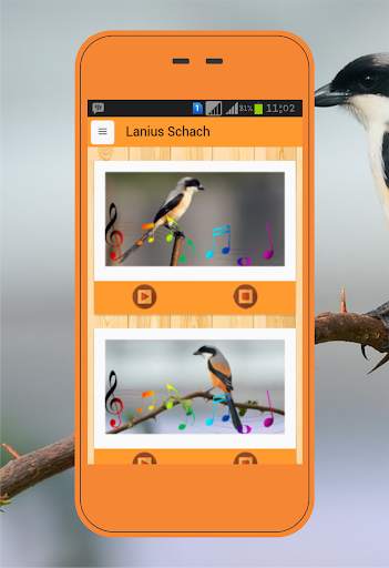 Lanius schach screenshot 1