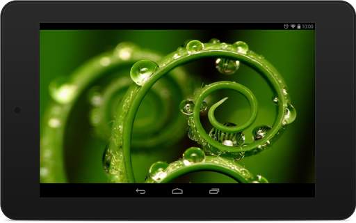 Green Wallpapers screenshot 6