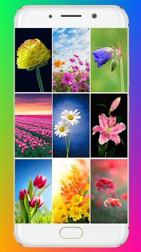 Flower Wallpaper HD screenshot 1