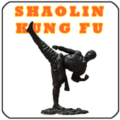 Shaolin Kung Fu Training icon
