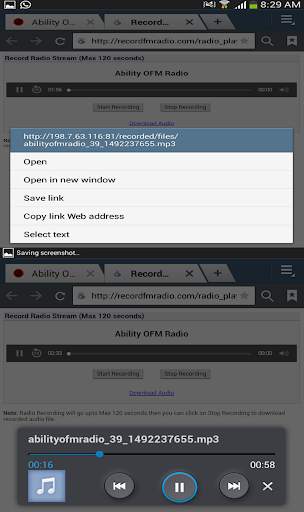 All Browsers Recording Radio Stations screenshot 3